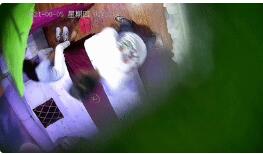 【酒店摄像头】中式绿叶多房型，情侣们玩的不亦乐乎